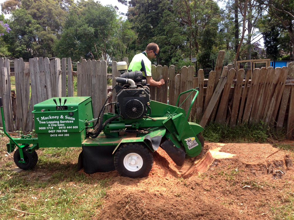 stump grinding service