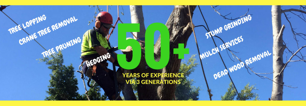 Tmackney & Sons Tree Services - Greystanes 2145